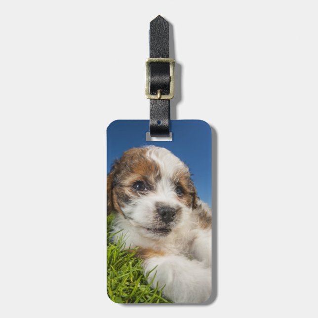 Cute puppy hund (Shitzu) Bagagebricka (Vertikal Framsida)