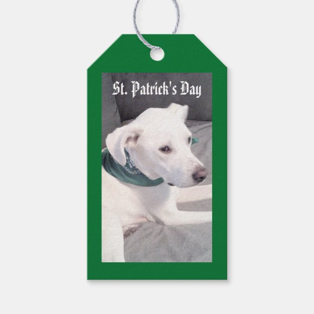 Cute Puppy Hund Wear Scarf Grönt och Grått Gift T Presentetikett (Framsidan)