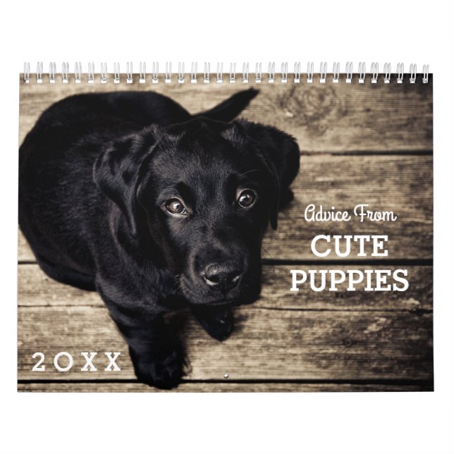 Cute Puppy Hundar Funny Inspirationell rådgivning  Kalender (Omslag)