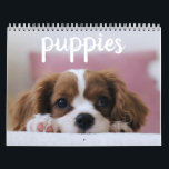 Cute Puppy Hundar Kalender<br><div class="desc">Cute Puppy hundar,  inte bara för att göra dig ljusare,  utan för hela året. Fäst den här kalendern på ditt kontor,  din bostad,  ditt hem,  ditt kök,  var som helst som kan få dig att le.</div>