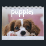 Cute Puppy Hundar Kalender<br><div class="desc">Cute Puppy hundar,  inte bara för att göra dig ljusare,  utan för hela året. Fäst den här kalendern på ditt kontor,  din bostad,  ditt hem,  ditt kök,  var som helst som kan få dig att le.</div>