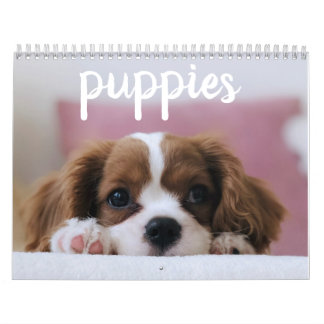 Cute Puppy Hundar Kalender