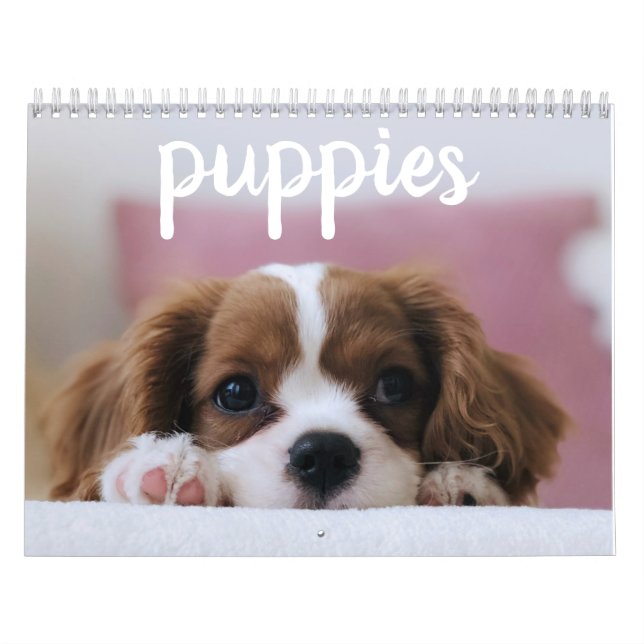 Cute Puppy Hundar Kalender (Omslag)