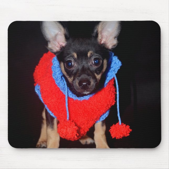 Cute Puppy in Red Wool Sweater Musmatta (Framsidan)