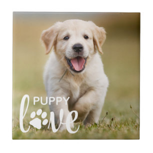 Cute Puppy Kärlek Personlig Pet Photo Hund älska Kakelplatta