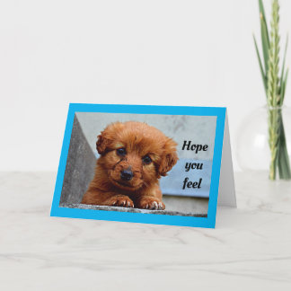 Cute Puppy kommer bra Kort