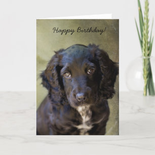 Cute Puppy-kort Kort