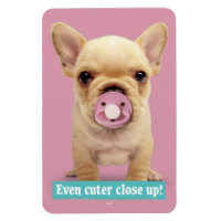 Cute Puppy med Nappar