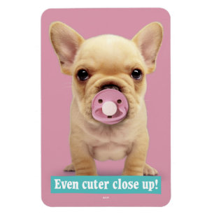 Cute Puppy med Nappar Magnet