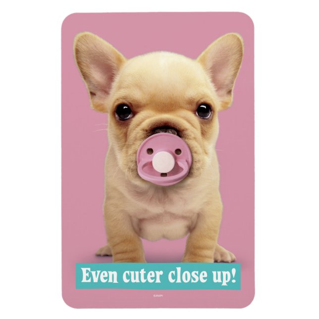 Cute Puppy med Nappar Magnet (Vertikal)