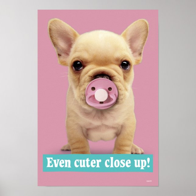 Cute Puppy med Nappar Poster (Framsidan)