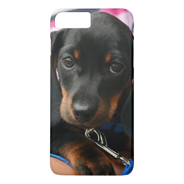 Cute Puppy Photo Cell Phone Case Case-Mate iPhone Skal (Baksida)