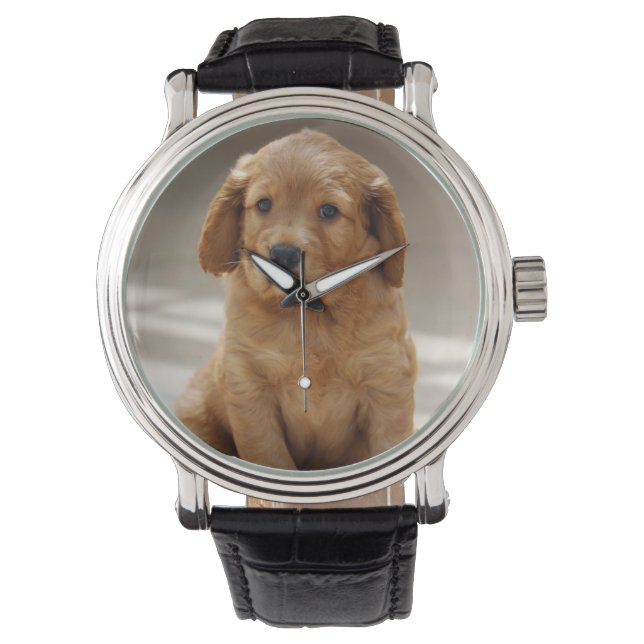 Cute Puppy Portrait Photo Armbandsur (Framsida)