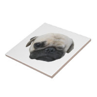 Cute Puppy Pug Hund Friend ... か わ い い 子 犬