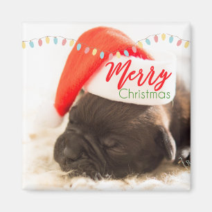 Cute Puppy Pug in a Red Santa Hat jul Magnet