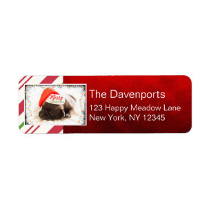 Cute Puppy Pug in a Red Santa Hat jul Returadress Etikett