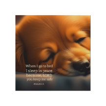 Cute Puppy-skript