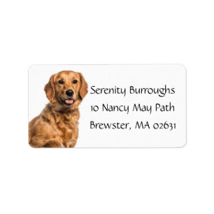 Cute Puppy Tecknad hund Mamma Golden Retriever-eti Adressetikett