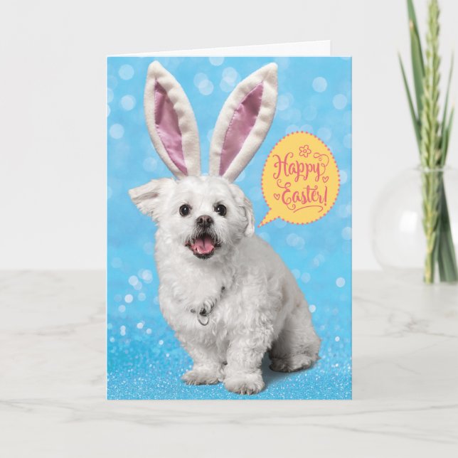 Cute Puppy Wearing Eggs-Tra Speciell Bunny Öron Kort (Framsida)