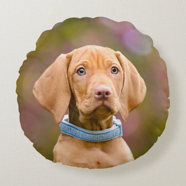 Cute puppyeyed Hungarian Vizsla Hund Puppy Photo - Rund Kudde (Framsidan)