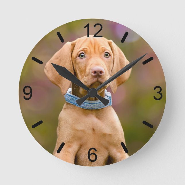 Cute puppyeyed Hungary Vizsla Hund Puppy Photo - Rund Klocka (Framsida)