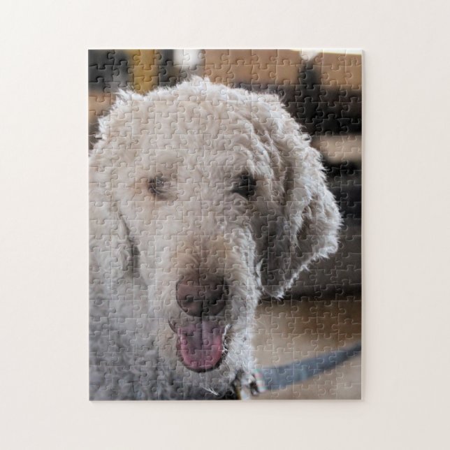 Cute Pussel (Vertikal)