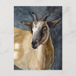 Cute Pygmy Goat Watercolor Artwork Vykort