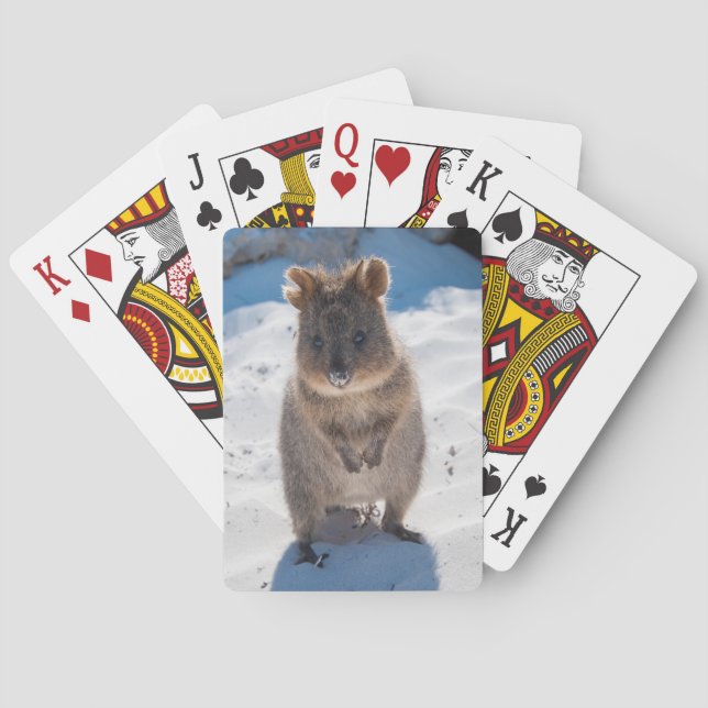 Cute Quokka Animal Beach Wildlife Australien Casinokort (Baksidan)