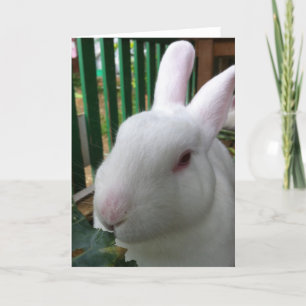 Cute Rabbit Kort