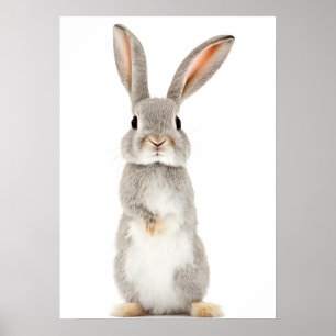Cute Rabbit Porträtt Digital Print Poster