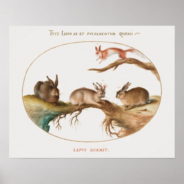 Cute Rabbits Poster (Framsidan)