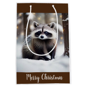 Cute Raccoon