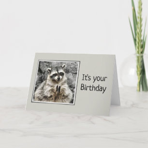 Cute Raccoon Clapping Birthday Humor Kort