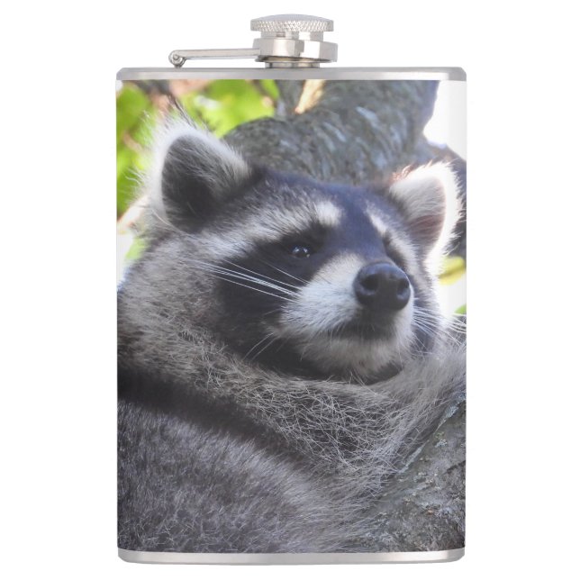 Cute Raccoon Close UP Fickplunta (Framsidan)