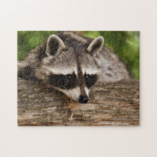 Cute Raccoon i Forest Photo Pussel