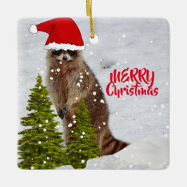 Cute Raccoon Julgran Ornament