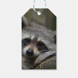 Cute Raccoon Presentetikett