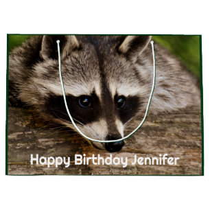 Cute Raccoon Resten på en logg