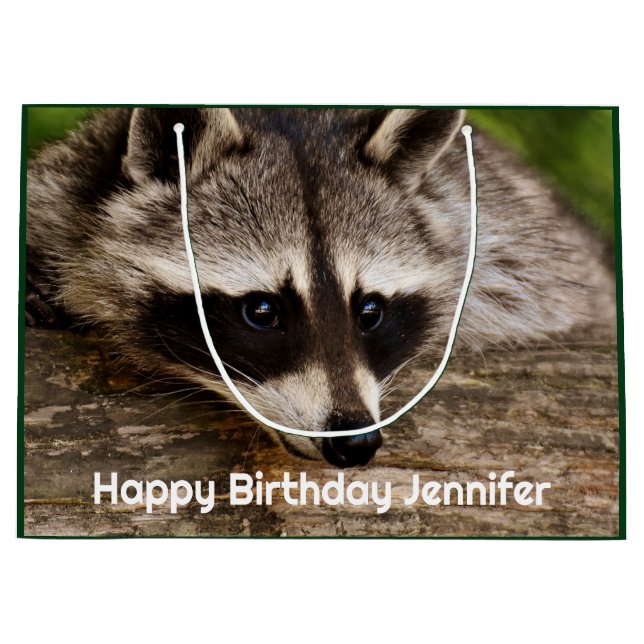 Cute Raccoon Resten på en logg (Framsidan)