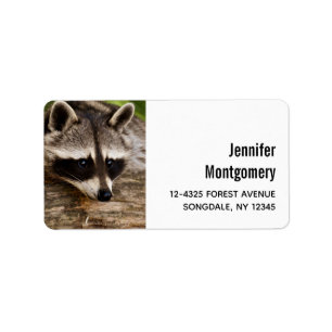 Cute Raccoon Resten på en logg Adressetikett