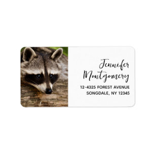 Cute Raccoon Resten på en logg Adressetikett