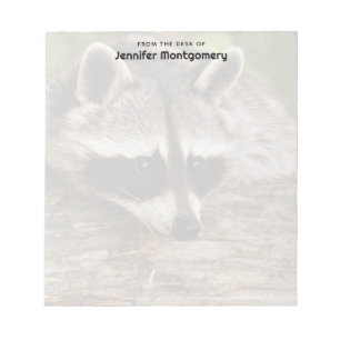 Cute Raccoon Resten på en logg Anteckningsblock