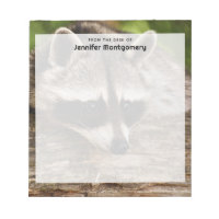 Cute Raccoon Resten på en logg