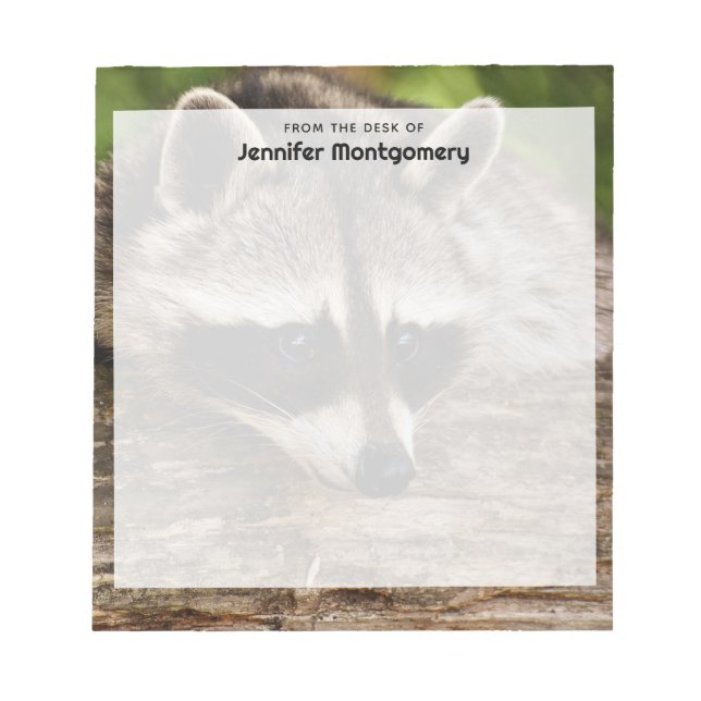Cute Raccoon Resten på en logg Anteckningsblock (Framsida)