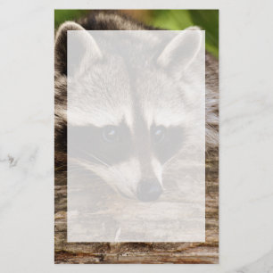 Cute Raccoon Resten på en logg Brevpapper