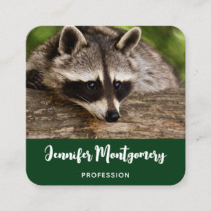 Cute Raccoon Resten på en logg Fyrkantigt Visitkort
