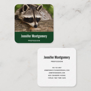 Cute Raccoon Resten på en logg Fyrkantigt Visitkort