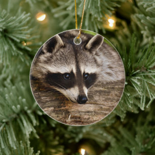 Cute Raccoon Resten på en logg Julgransprydnad Keramik