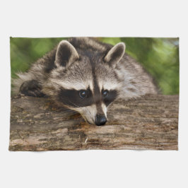 Cute Raccoon Resten på en logg Kökshandduk