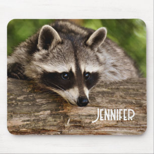 Cute Raccoon Resten på en logg Musmatta